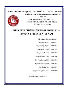 Tiểu luận phân tích chi c kinh doanh c a công ty unileve ủ ệ r vi t nam