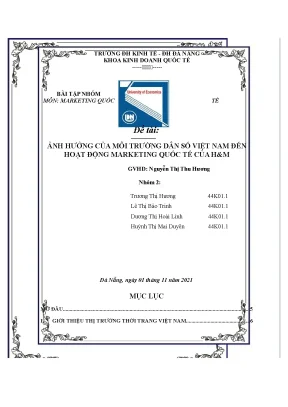 Tiểu luận ảnh hưởng của môi trường dân số việt nam đến hoạt động marketing quốc tế của hm