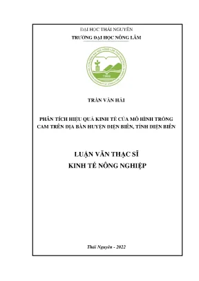 Phân tích hiệu quả kinh tế của mô hình trồng cam trên địa bàn huyện điện biên tỉnh điện biên