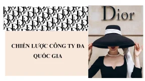 Chiến lược công ty đa quốc gia dior lvmh lvmh có trụ sở chính tại paris