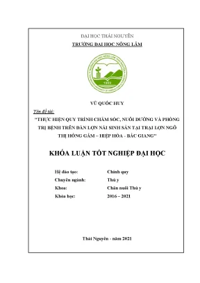 Tiểu luận thực hiện quy trình chăm sóc nuôi dưỡng cho đàn lợn nái sinh sản tại trang trại ngô thị hồng gấm huyện hiệp hòa tỉnh bắc giang