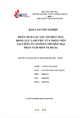 Tiểu luận phân tích các yếu tố thúc đẩy động lực làm việc của nhân viên tại công ty cổ phần thương mại phan nam mon te ro sa