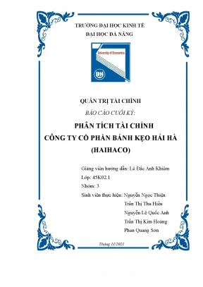 Tiểu luận báo cáo cuối kỳ phân tích tài chính công ty cổ phần bánh kẹo hải hà haihaco