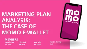 Marketing plan analysis the case of momo e wallet