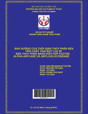 Đồ án hcmute ảnh hưởng của thời gian thủy phân đến tính chất tinh bột lúa mì bán thủy phân bằng hỗn hợp enzyme alpha amylase và amyloglucosidase