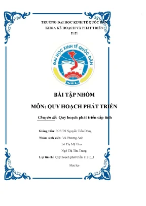 Tiểu luận bài tâp nhóm  môn quy hoch phát triển chuyên đề quy hoạch phát triển cấp tỉnh