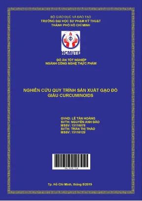 Đồ án hcmute nghiên cứu quy trình sản xuất gạo đồ giàu curcuminoids