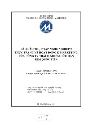 Tiểu luận thự ạt độ c trạng ho ng e marketing của công ty tnhh kim quốc tiến