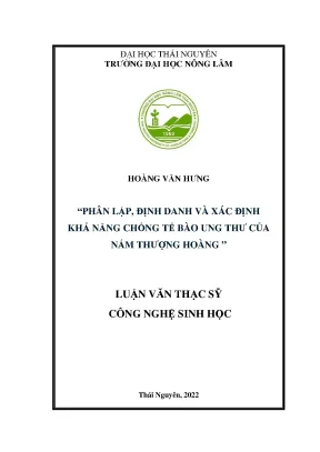 Phân lập định danh và xác định khả năng chống tế bào ung thư của nấm thượng hoàng