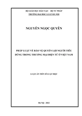 Luận án tiến sĩ luật học pháp luật về bảo vệ quyền lợi người tiêu dùng trong thương mại điện tử ở việt nam