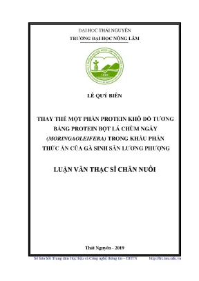 Luận văn thạc sĩ chăn nuôi thay thế một phần protein khô đỗ tương bằng protein bột lá chùm ngây moringa oleiferatrong khẩu phần thức ăn của gà sinh sản lương phượng