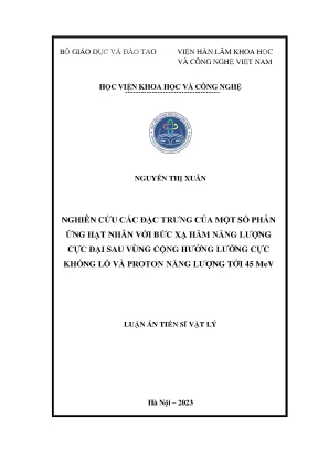 Luận án tiến sĩ nghiên cứu các đặc trưng của một số phản ứng hạt nhân với bức xạ hãm năng lượng cực đại sau cộng hưởng lưỡng cực khổng lồ và proton năng lượng tới 45 mev