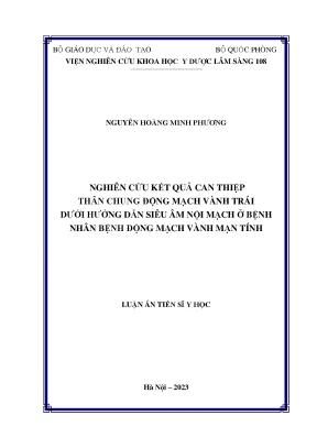 Luận án nghiên cứu kết quả can thiệp thân chung động mạch vành trái dưới hướng dẫn siêu âm nội mạch ở bệnh nhân bệnh động mạch vành mạn tính
