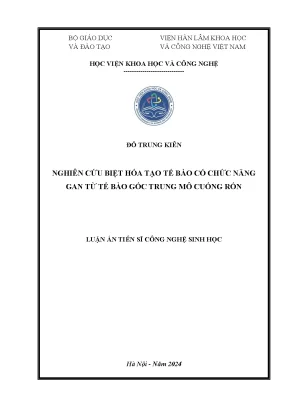 Luận án tiến sĩ nghiên cứu biệt hóa tạo tế bào có chức năng gan từ tế bào gốc trung mô cuống rốn