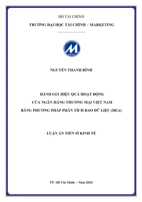 Luận án tiến sĩ đánh giá hiệu quả hoạt động của ngân hàng thương mại việt nam bằng phương pháp phân tích bao dữ liệu dea