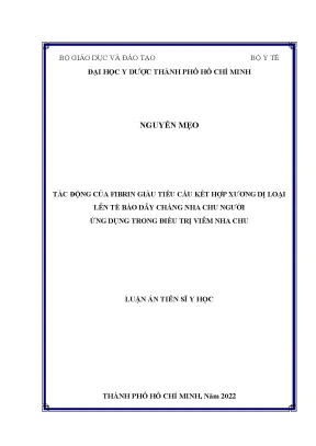 Luận án nguyễn mẹo
