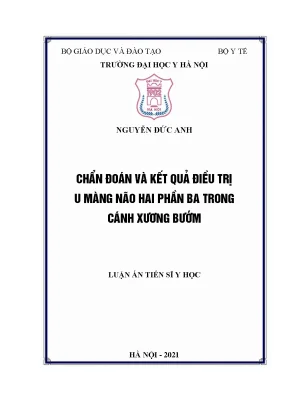 Luận án tiến sĩ chẩn đoán và kết quả điều trị u màng não hai phần ba trong cánh xương bướm
