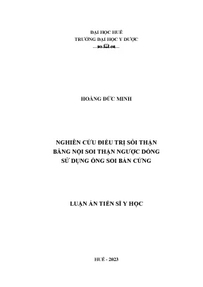 Luận án nghiên cứu điều trị sỏi thận bằng nội soi thận ngược dòng sử dụng ống soi bán cứng