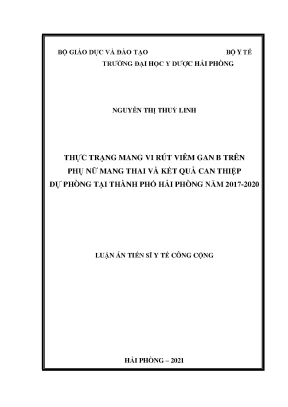 Luận án tiến sĩ y tế công cộng thực trạng mang vi rút viêm gan b trên phụ nữ mang thai và kết quả can thiệp dự phòng tại thành phố hải phòng năm 2017 2020
