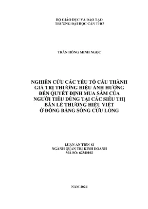 Luận án tiến sĩ nghiên cứu các yếu tố cấu thành giá trị thương hiệu ảnh hưởng đến quyết định mua sắm của người tiêu dùng tại các siêu thị bán lẻ thương hiệu việt ở đồng bằng sông cửu long