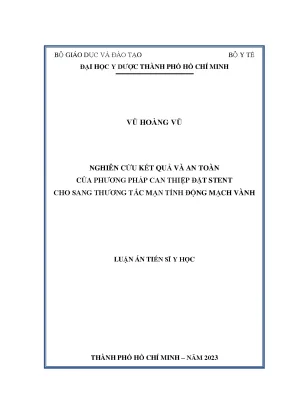 Luận án nghiên cứu kết quả và an toàn của phương pháp can thiệp đặt stent cho sang thương tắc mạn tính động mạch vành