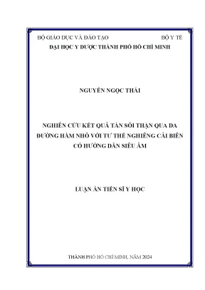 Luận án tiến sĩ nghiên cứu kết quả tán sỏi thận qua da đường hầm nhỏ với tư thế nghiêng cải biên có hướng dẫn siêu âm