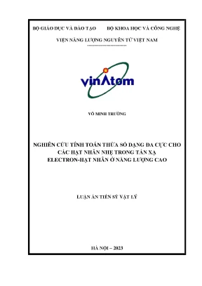 Luận án tiến sĩ nghiên cứu tính toán thừa số dạng đa cực cho các hạt nhân nhẹ trong tán xạ electron hạt nhân ở năng lượng cao