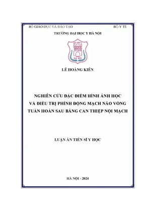 Luận án tiến sĩ nghiên cứu đặc điểm hình ảnh học và điều trị phình động mạch não thuộc vòng tuần hoàn sau bằng can thiệp nội mạch