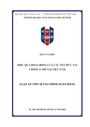 Hiệu quả hoạt động của các tổ chức tài chính vi mô tại việt nam luận án tiến sĩ tài chính ngân hàng