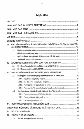 Luận án tiến sĩ hóa học nghiên cứu ứng dụng kỹ thuật phân tích dòng chảy fia nhằm đánh giá sự chuyển hoá các chất dinh dưỡng chứa n và p trong một số hệ xử lý nước thải sinh hoạt bằng công nghệ bùn hoạt tính cải tiến