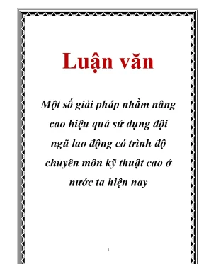 Luận văn một số giải pháp nhằm nâng cao hiệu quả sử dụng đội ngũ lao động có trình độ chuyên môn kỹ thuật cao ở nước ta hiện nay