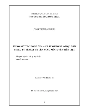 Luận văn thạc sĩ vật lý kỹ thuật khảo sát tác động của ánh sáng hồng ngoại gần chiếu từ bề mặt da lên vùng mô tuyến tiền liệt