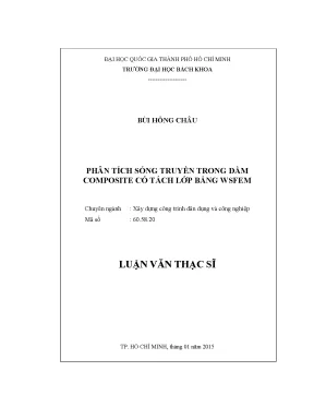 Luận văn thạc sĩ kỹ thuật xây dựng phân tích sóng truyền trong dầm composite có tách lớp bằng wsfem