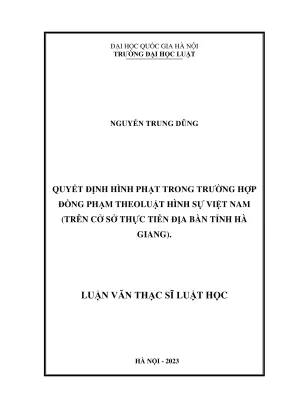 Luận văn thạc sĩ luật học quyết định hình phạt trong trường hợp đồng phạm theo luật hình sự việt nam trên cở sở thực tiễn địa bàn tỉnh hà giang