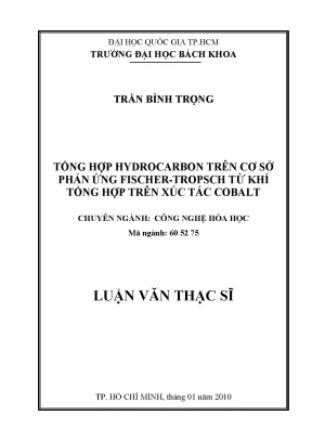 Luận văn thạc sĩ công nghệ hóa học tổng hợp hydrocarbon trên cơ sở phản ứng fischer tropsch từ khí tổng hợp trên xúc tác cobalt
