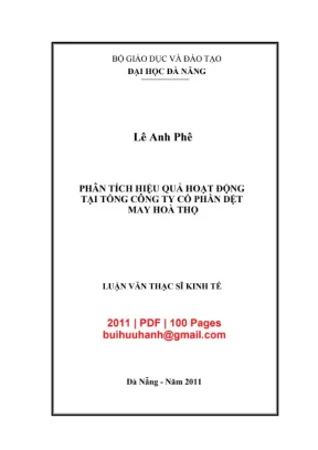 Luận văn thạc sĩ kinh tế phân tích hiệu quả hoạt động tại tổng công ty cổ phần dệt may hoà thọ