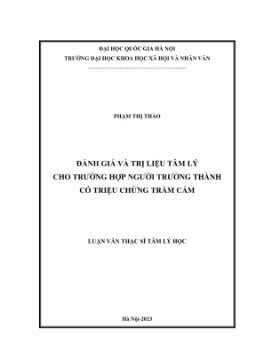 Luận văn thạc sĩ tâm lý học đánh giá và trị liệu tâm lý cho một trường hợp người trưởng thành có triệu chứng trầm cảm