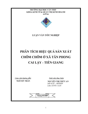 Luận văn tốt nghiệp phân tích hiệu quả sản xuất chôm chôm ở xã tân phong cai lậy tiền giang
