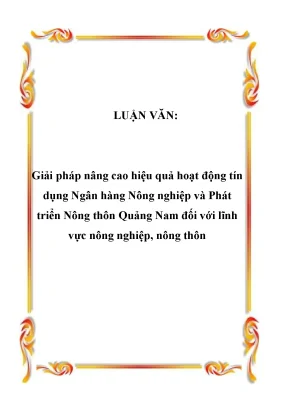 Luận văn giải pháp nâng cao hiệu quả hoạt động tín dụng ngân hàng nông nghiệp và phát triển nông thôn quảng nam đối với lĩnh vực nông nghiệp nông thôn