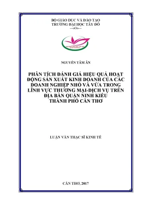 Luận văn thạc sĩ kinh tế phân tích đánh giá hiệu quả hoạt động sản xuất kinh doanh của doanh nghiệp nhỏ và vừa trong lĩnh vực thương mại dịch vụ trên địa bàn quận ninh kiều thành phố cần thơ