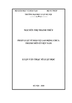 Luận văn thạc sĩ luật học pháp luật về bảo vệ lao động chưa thành niên ở việt nam