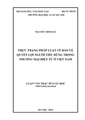 Luận văn thạc sĩ luật học thực trạng pháp luật về bảo vệ quyền lợi người tiêu dùng trong thương mại điện tử ở việt nam