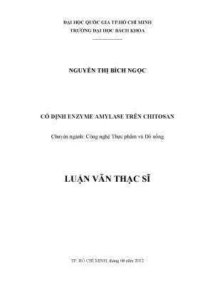 Luận văn thạc sĩ công nghệ thực phẩm cố định enzyme amylase trên chitosan