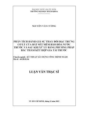 Luận văn thạc sĩ kỹ thuật xây dựng phân tích đánh giá sự thay đổi đặc trưng cơ lý của đất sét mềm bão hòa nước trước và sau khi xử lý bằng phương pháp bấc thấm kết hợp gia tải trước