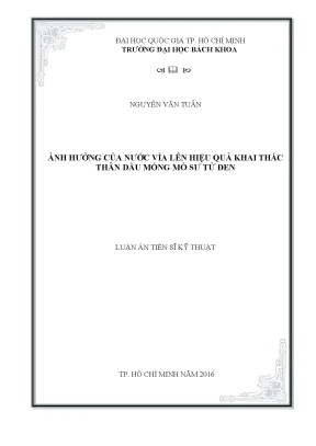 Luận án tiến sĩ kỹ thuật dầu khí ảnh hưởng của nước vỉa lên hiệu quả khai thác thân dầu móng mỏ sư tử đen