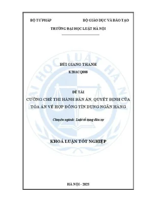 Khoá luận tốt nghiệp cưỡng chế thi hành bản án quyết định của toà án về hợp đồng tín dụng ngân hàng