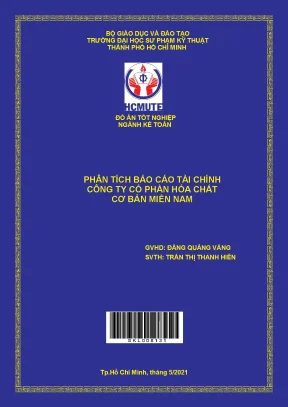 Phân tích báo cáo tài chính công ty cổ phần hóa chất cơ bản miền nam đồ án tốt nghiệp khoa chất lượng cao ngành kế toán