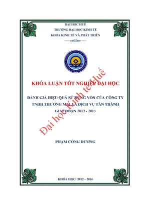 Khóa luận tốt nghiệp đánh giá hiệu quả sử dụng vốn của công ty tnhh thương mại và dịch vụ tấn tấn thành giai đoạn 2013 2015