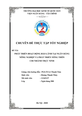 Chuyên đề thực tập tốt nghiệp phát triển hoạt động bảo lãnh tại ngân hàng nông nghiệp và phát triển nông thôn chi nhánh trực ninh