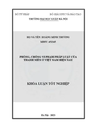 Khoá luận tốt nghiệp phòng chống vi phạm pháp luật của thanh niên ở việt nam hiện nay